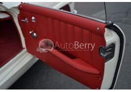 Mercedes W121 190SL (1955-1963) Door Panel Skin Kit